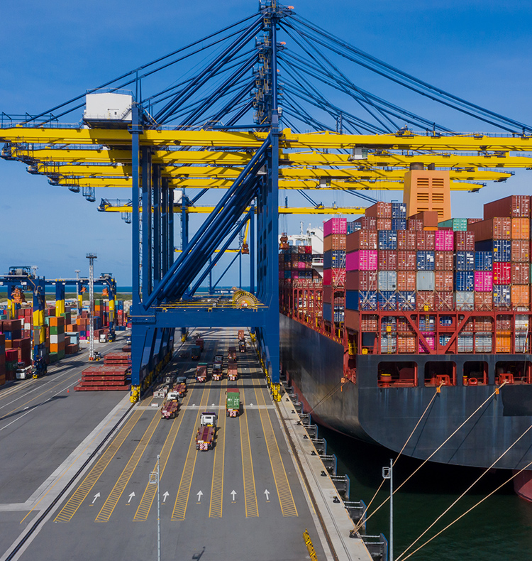 卓越した輸送力